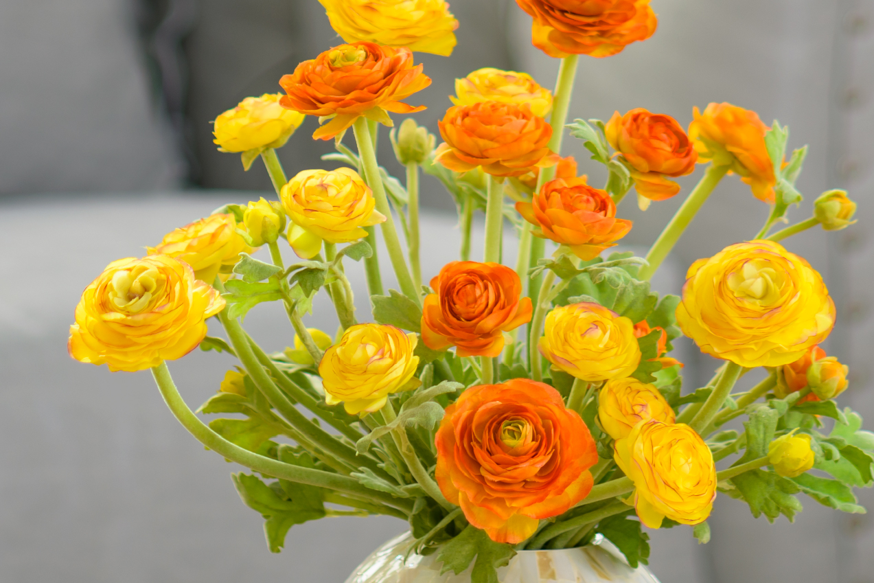 明るい雰囲気のお供え花にはイエロー