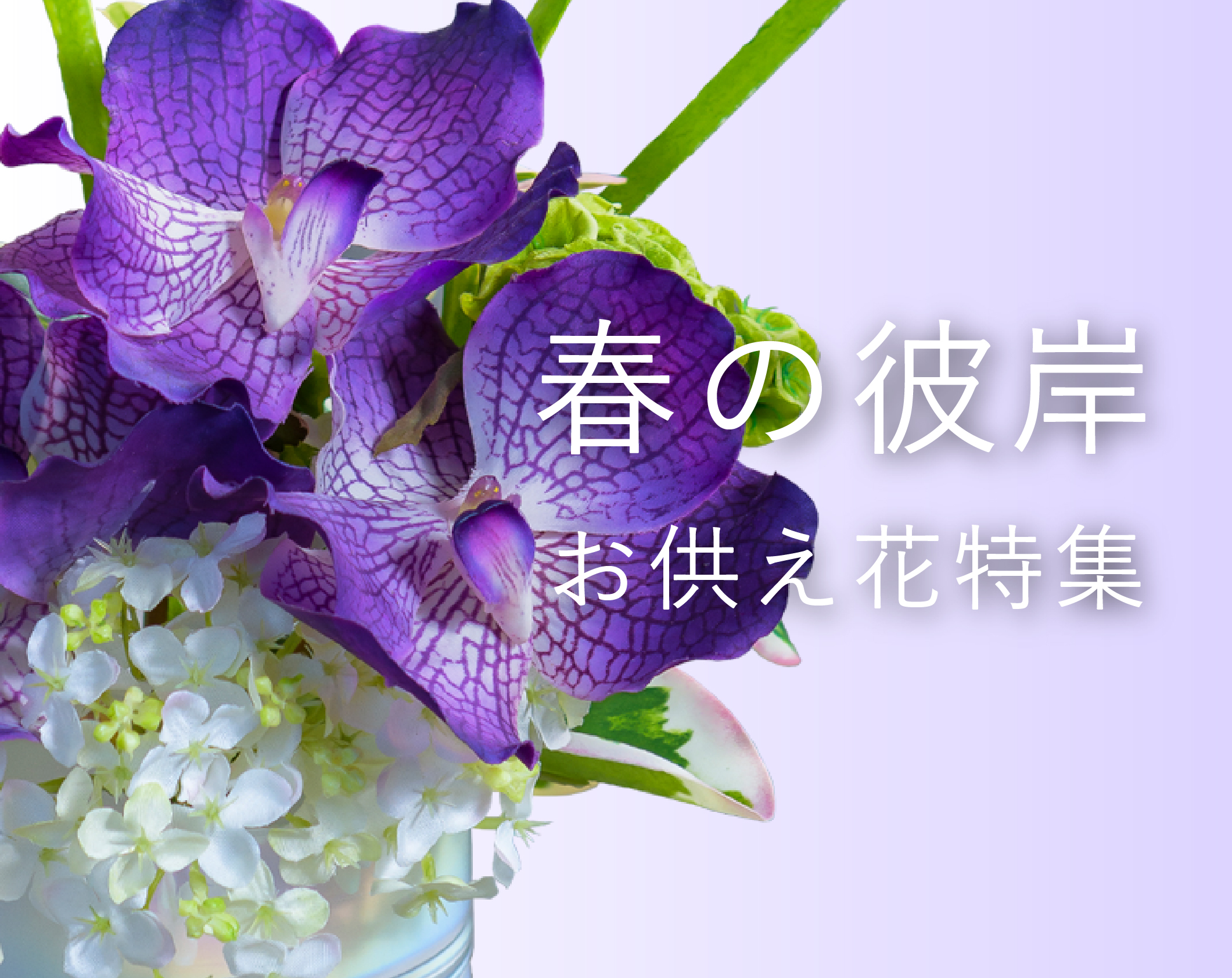 2023年春のお彼岸特集
