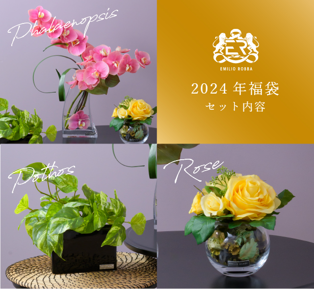 ＜先着限定100個＞お得な3点セット