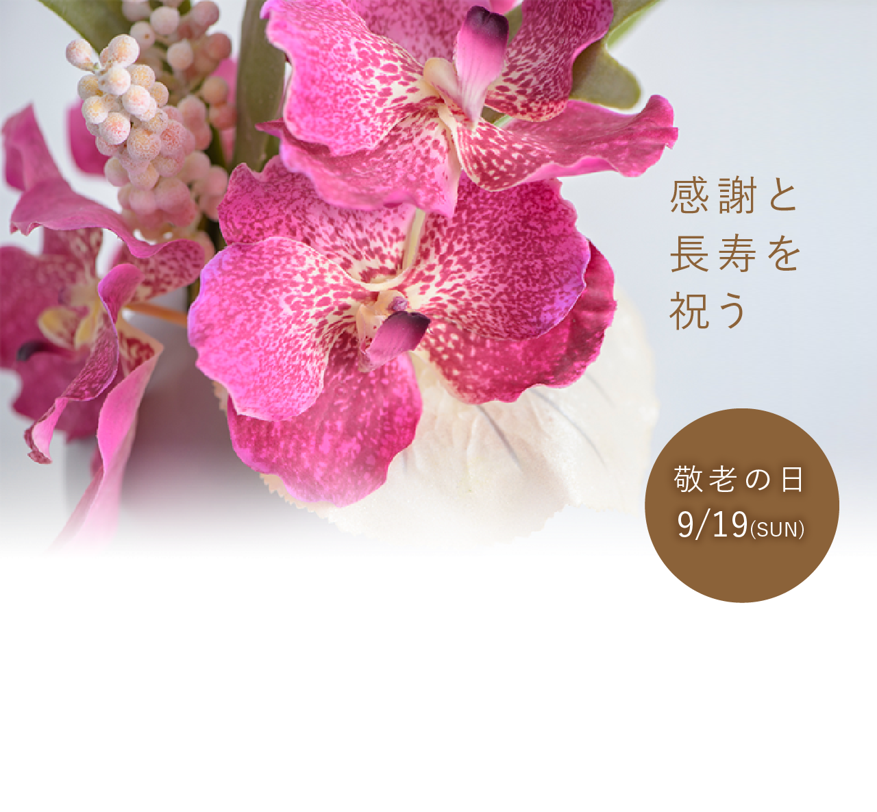 スマートフォン用の画像
