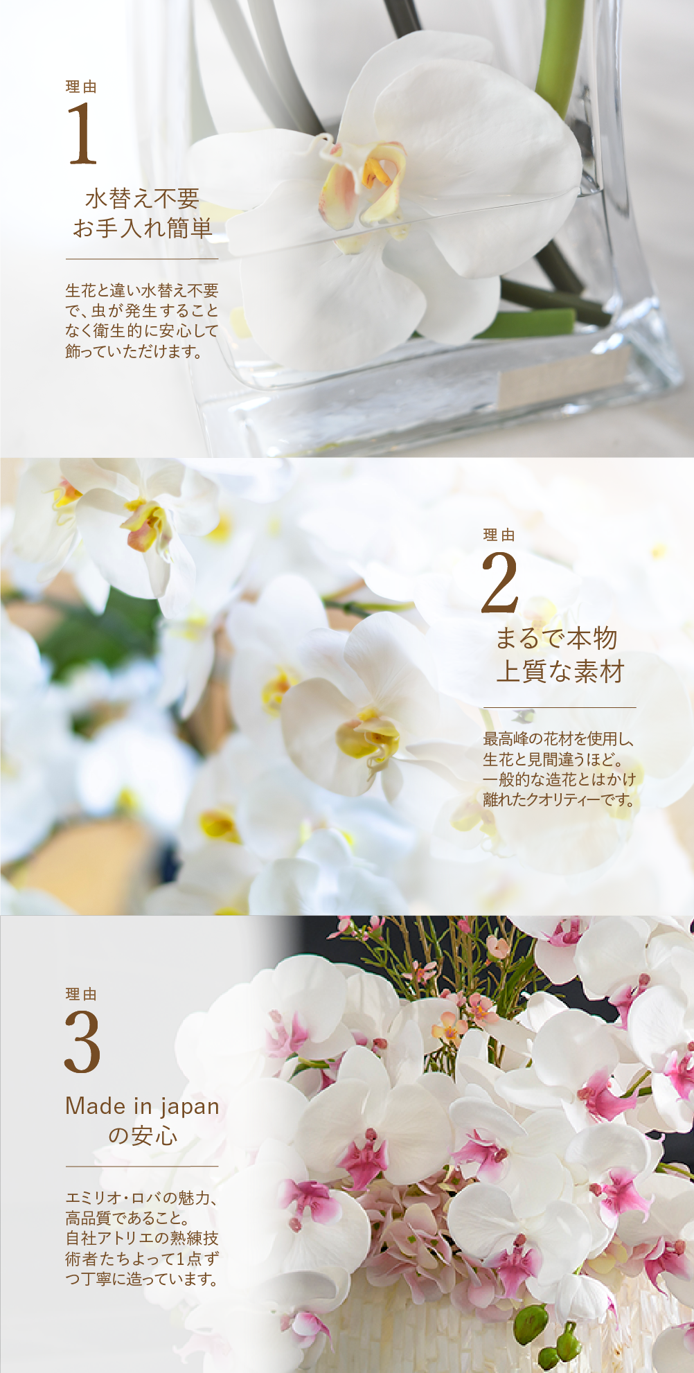 パソコン用の画像