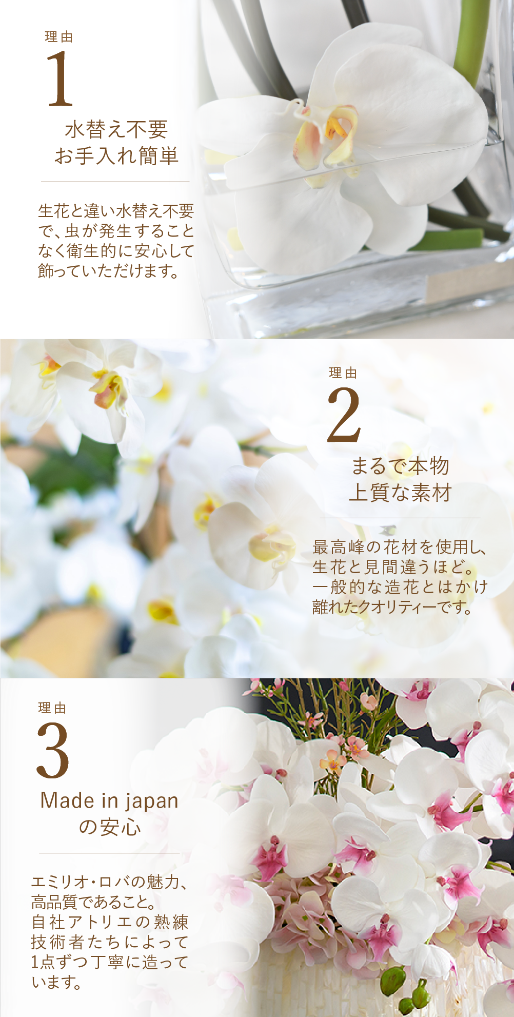 スマートフォン用の画像