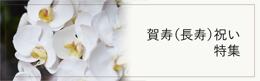 スマートフォン用の画像