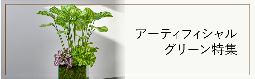スマートフォン用の画像