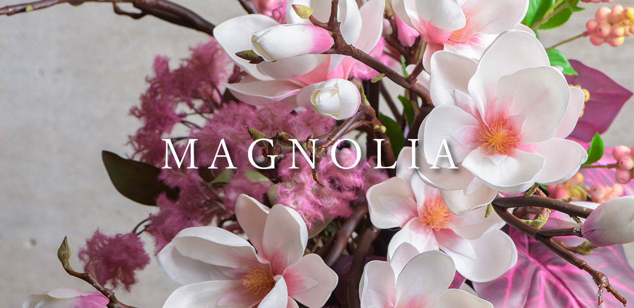 MAGNOLIA