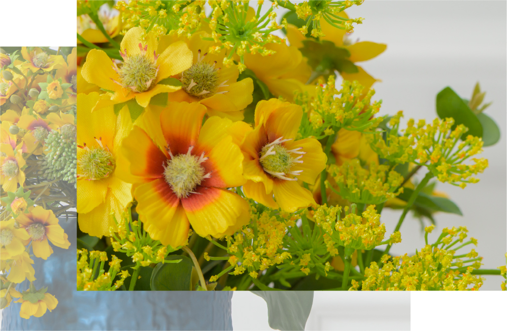 2025年オータムコレクション コレオプシス