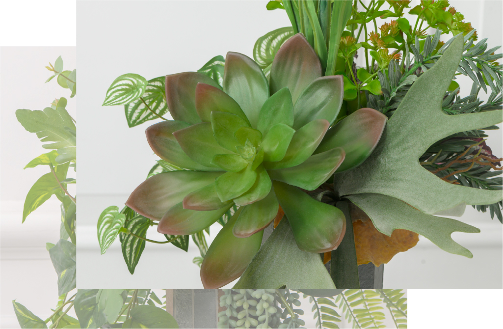 2025年オータムコレクション ギャザリング