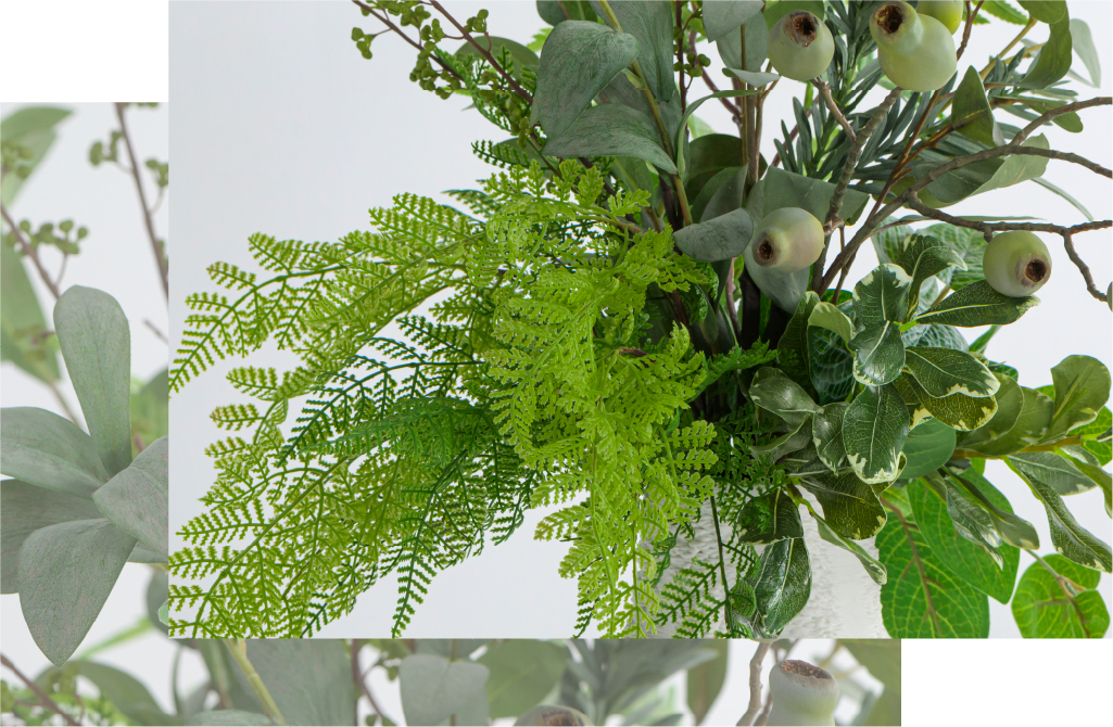 2025年スプリングコレクション グリーンギャザリング