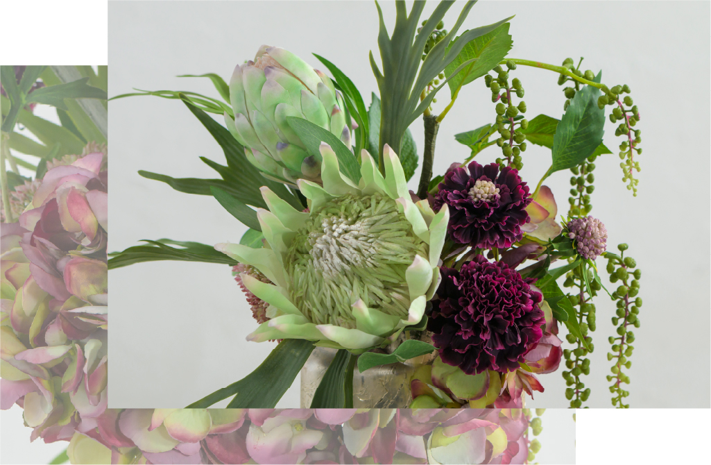 2025年ウィンターコレクションキングプロテア