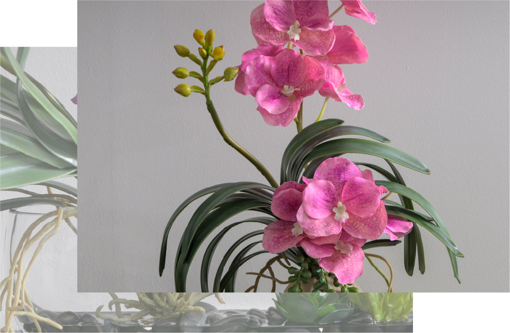 2025年ウィンターコレクションボタニカル