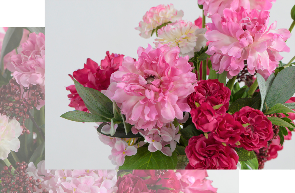 2025年ウィンターコレクションモロッコラナンキュラス