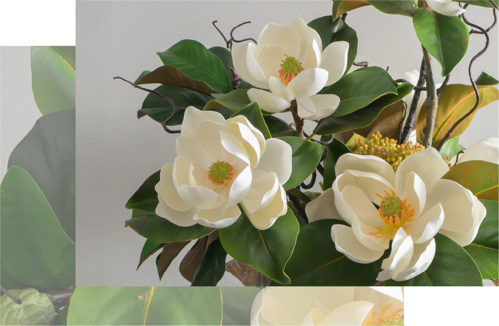 2025年ウィンターコレクションセントメアリー