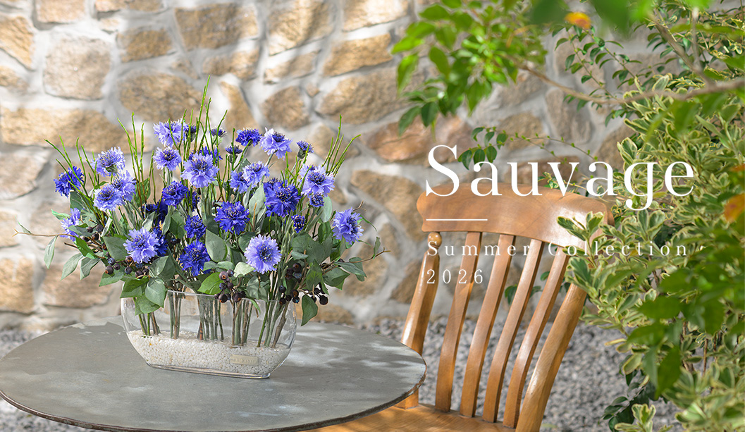 2026年サマーコレクション