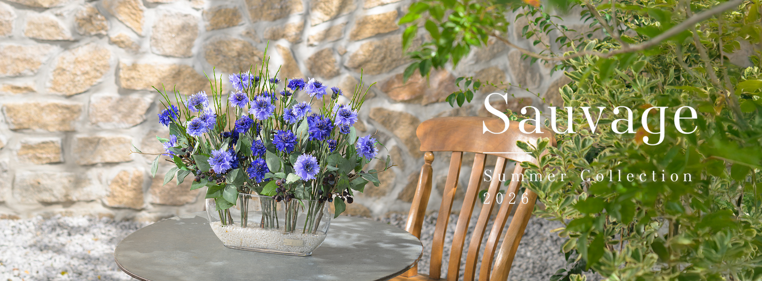 2026年サマーコレクション