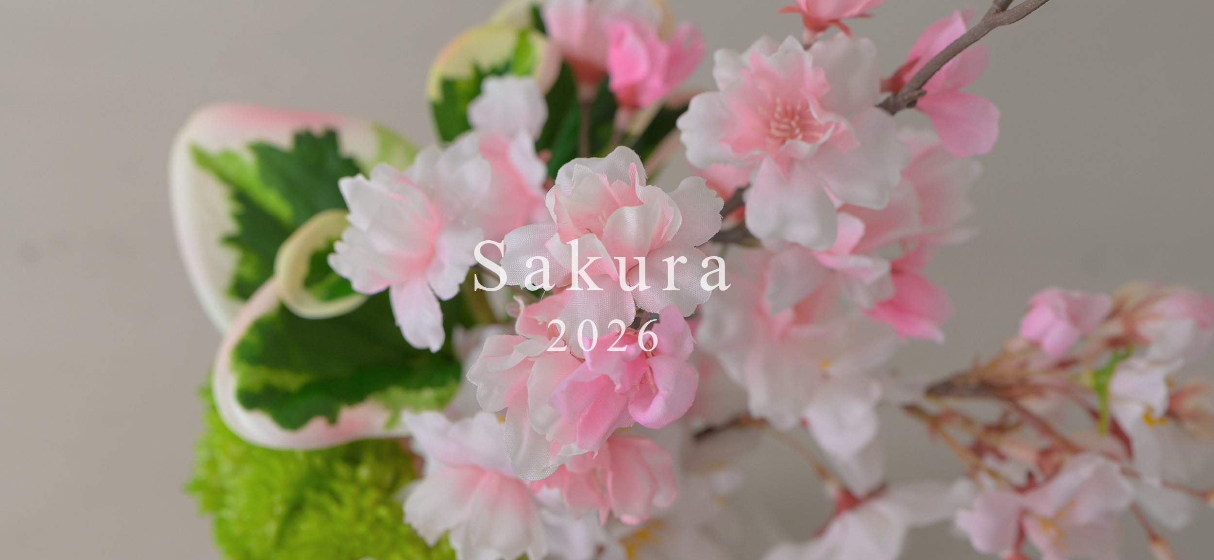 春の花 「桜」のアーティフィシャルフラワー特集|エミリオ・ロバ公式