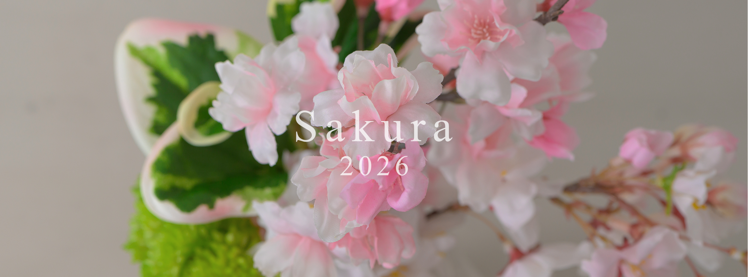 2026年スプリングコレクションサクラ