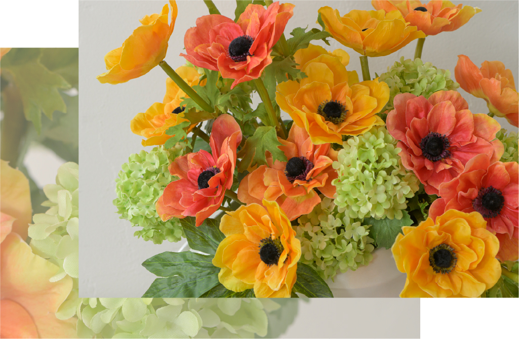 2026年スプリングコレクションアネモネ