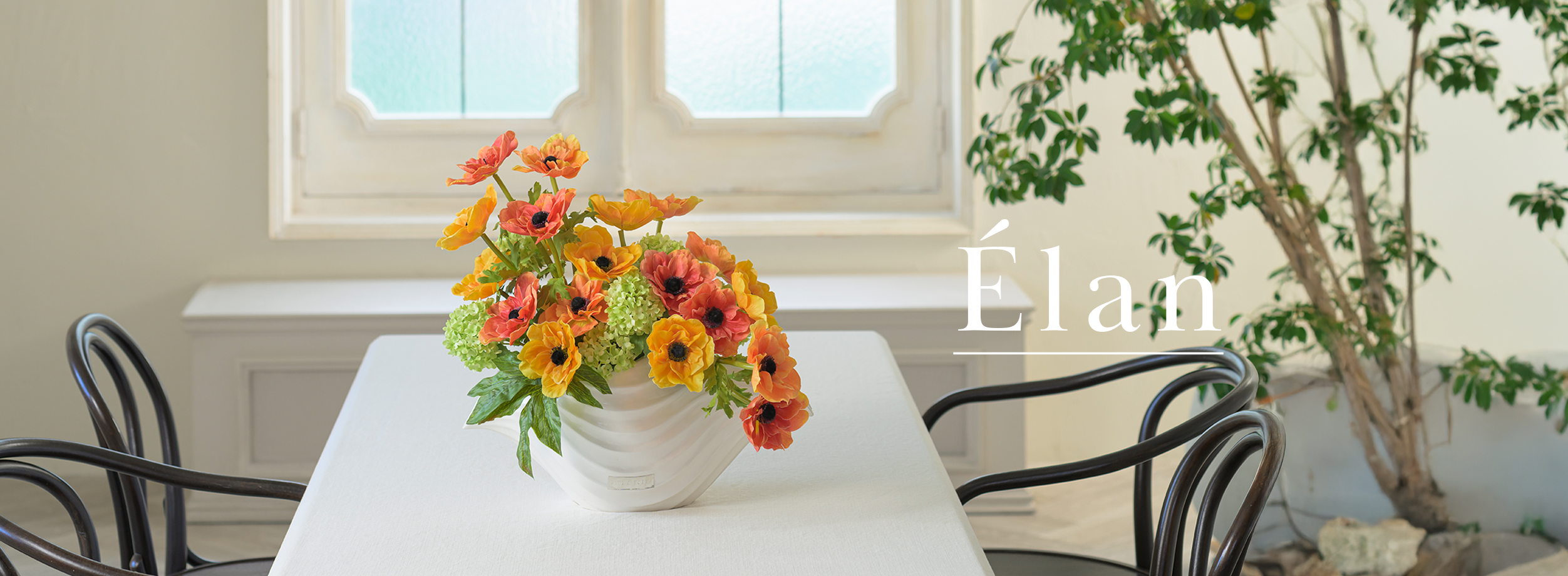 2026年スプリングコレクション