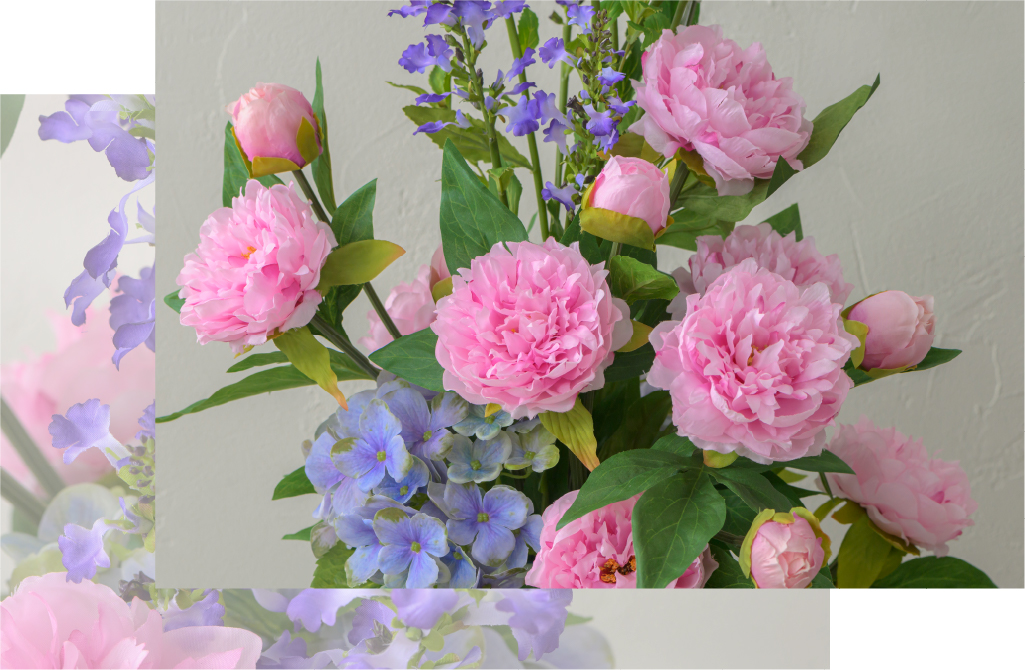 2026年スプリングコレクションピオニー