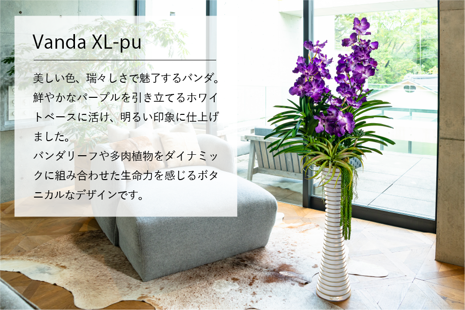 デザインギャラリー Vanda XL-pu