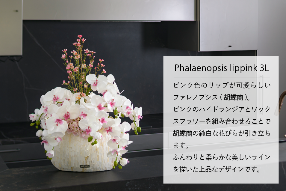 デザインギャラリー Phaleanopsis lippink 3L