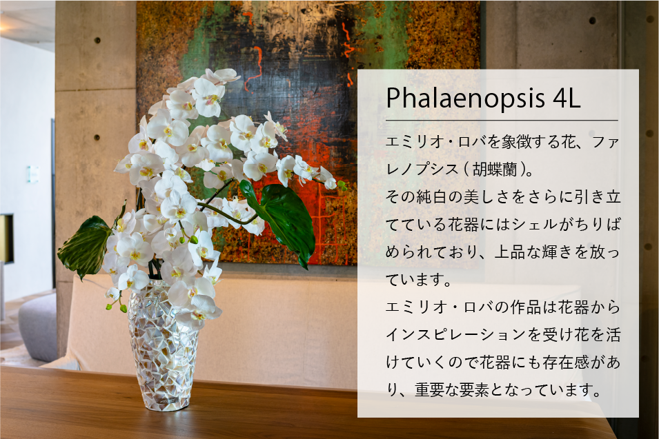 デザインギャラリー Phaleanopsis 4L
