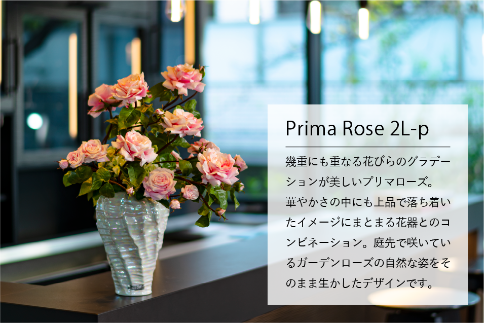 デザインギャラリー Prima rose 2L-p