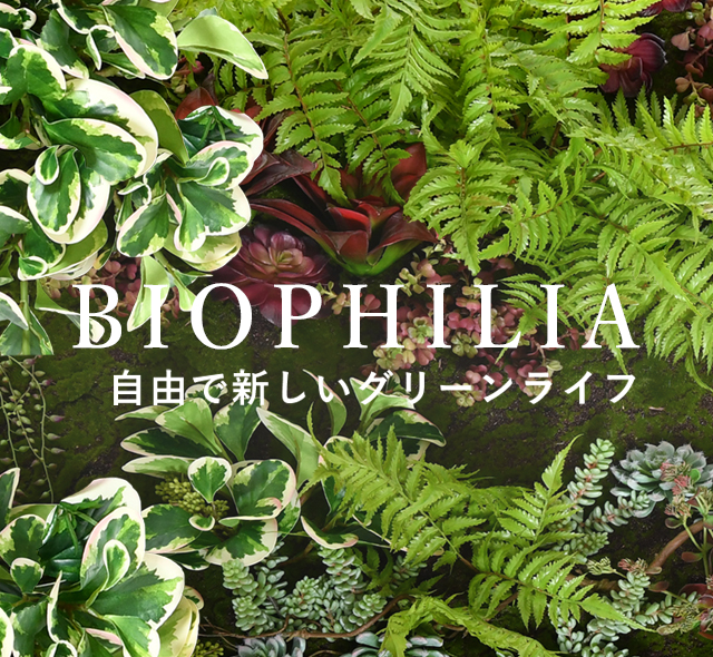 観葉植物 アーティフィシャルグリーン ギャザリング カラテア ギフト