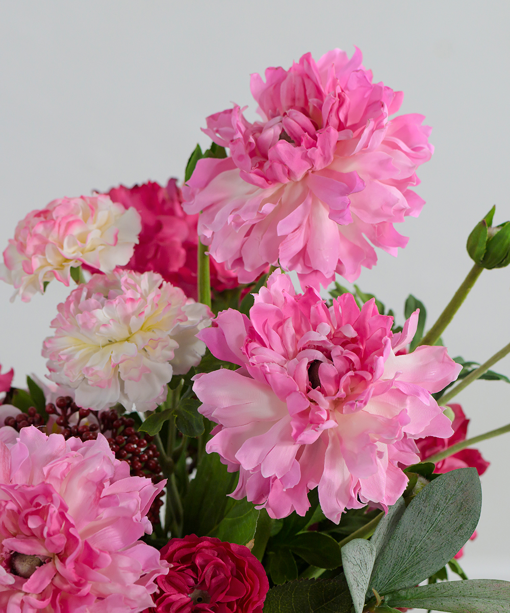 モロッコラナンキュラスXL25