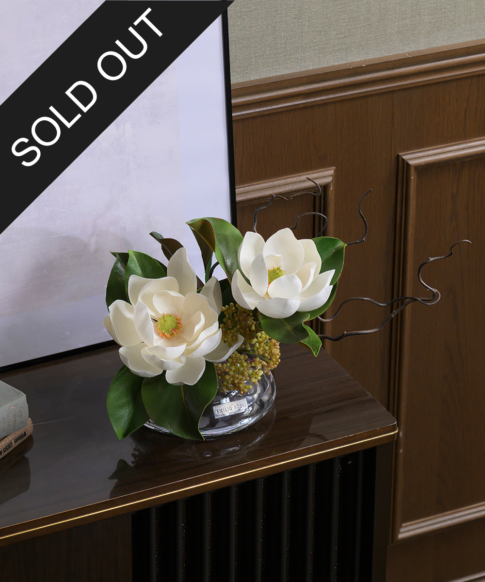 こちらもオススメ　セントメアリー2L25-a