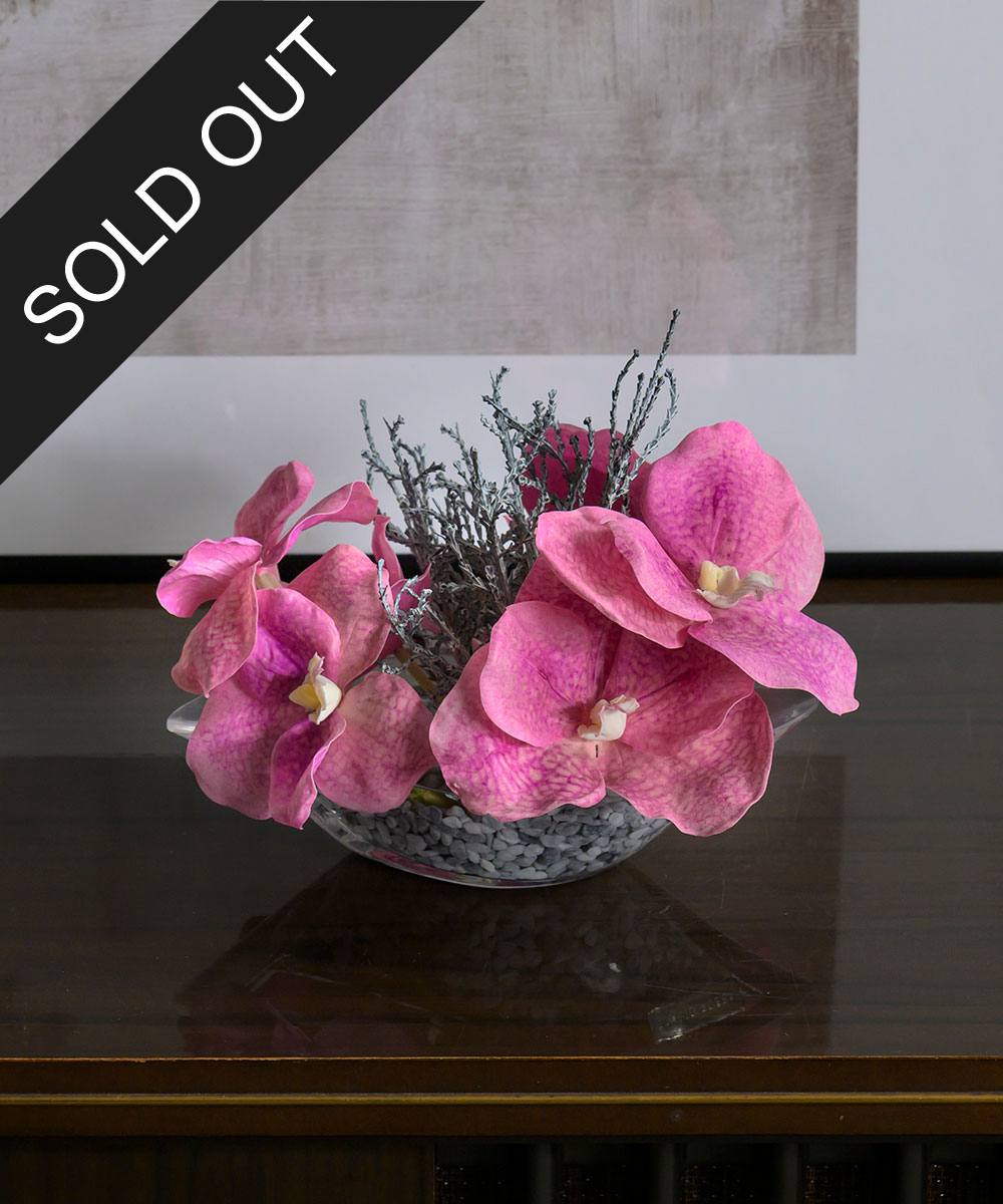 こちらもオススメ　バンダS25pk