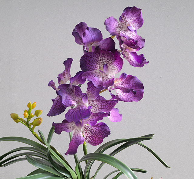 バンダボタニック　アーティフィシャルフラワー バンダボタニックpu-XL ギフト プレゼント お祝い アーティフィシャル