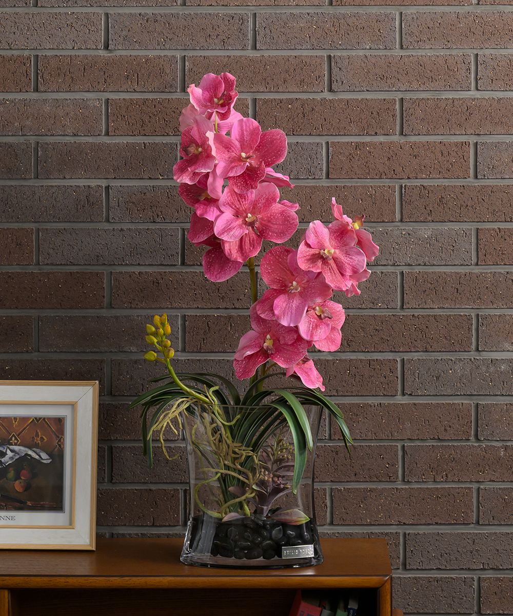 こちらもオススメ　バンダボタニック2L25pk