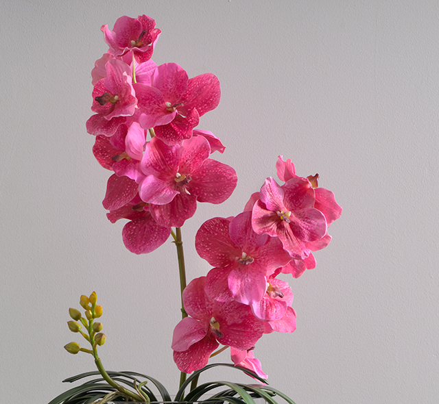 本物のような瑞々しい質感