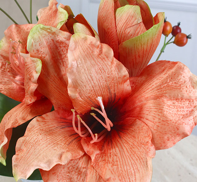 エミリオ.ロバ ピンクアマリリス 『未使用に近い』 期間限定】SDGs