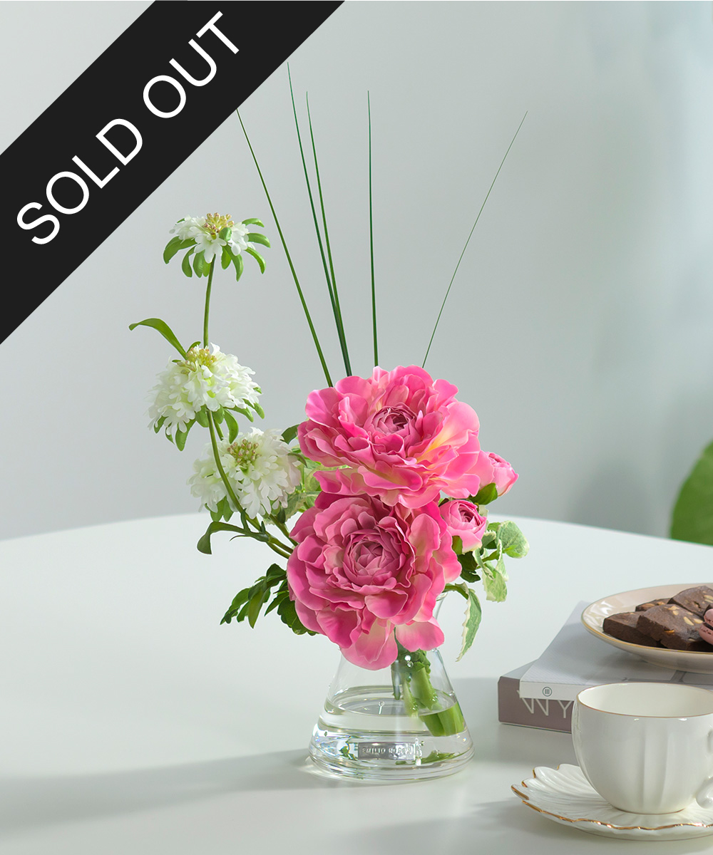 ラナンキュラスM24-pk