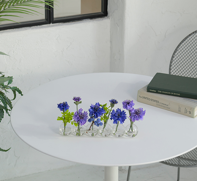 SPRING COLLECTION
