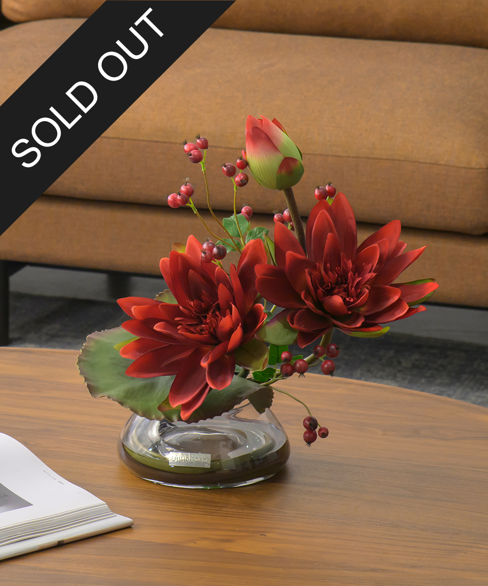 こちらもオススメ　ロータス2L25-rd