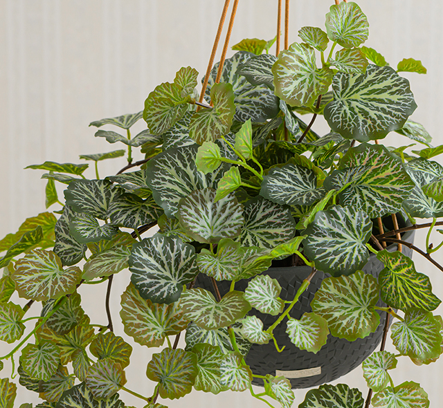 本物のような瑞々しい質感