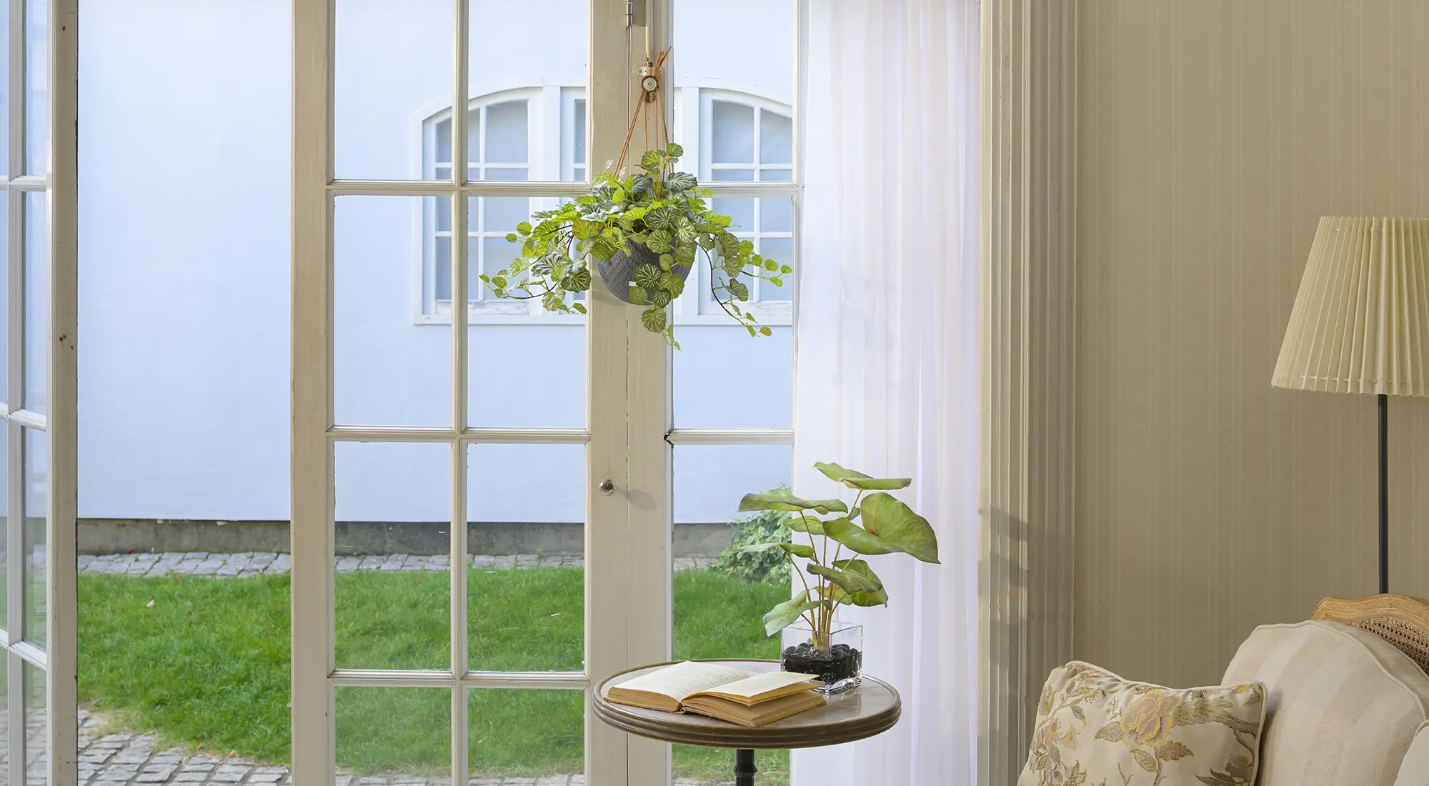 ハンギングユキノシタL26