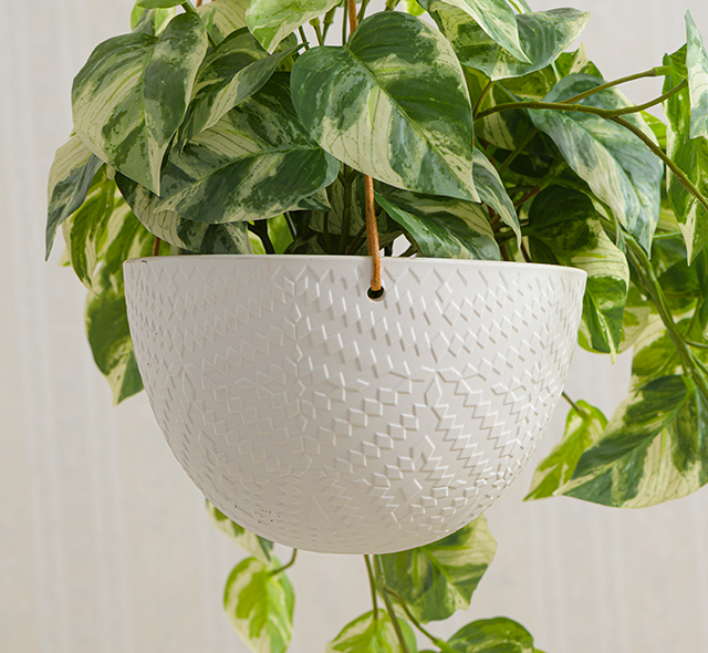 造形美が際立つ花器