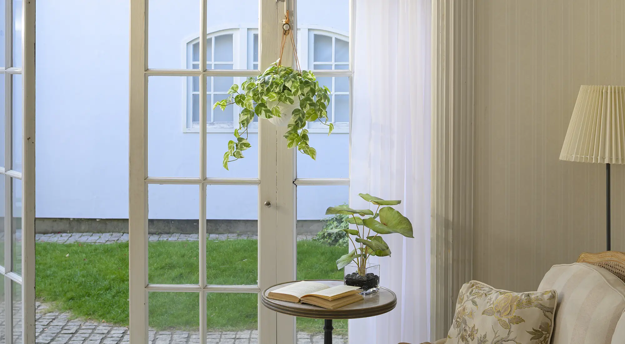 ハンギングポトスL26