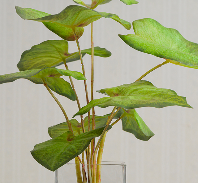 本物のような瑞々しい質感