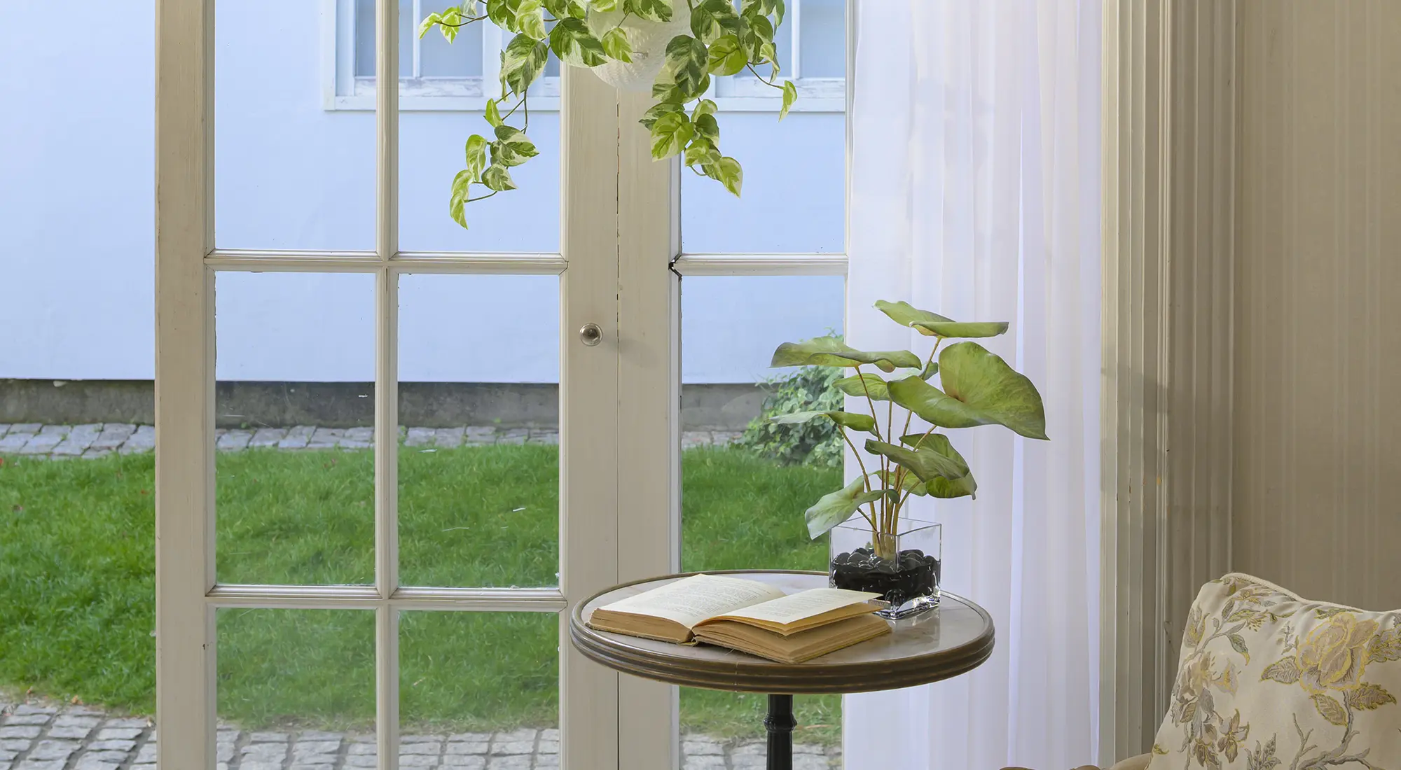 カラジュームM26