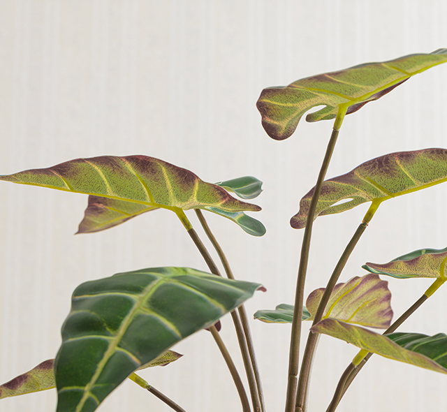 本物のような瑞々しい質感