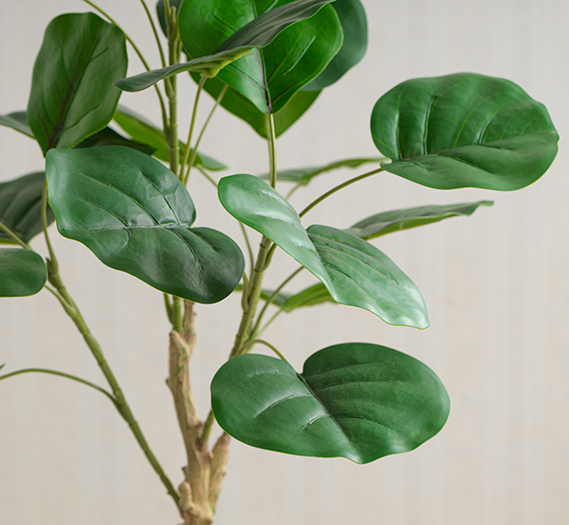 本物のような瑞々しい質感