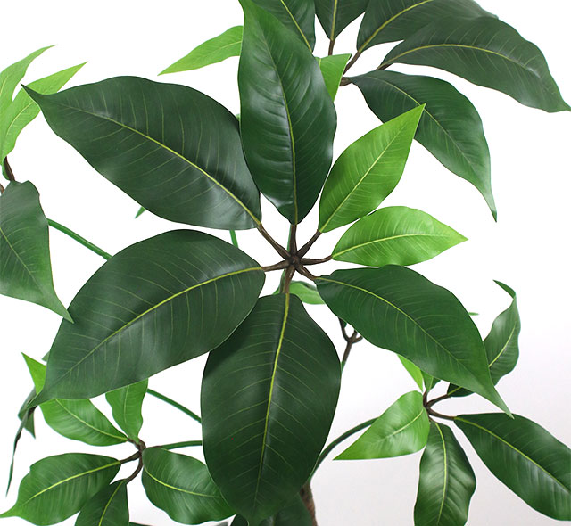 本物のような瑞々しい質感