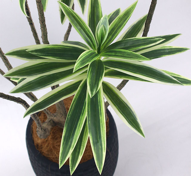 本物のような瑞々しい質感