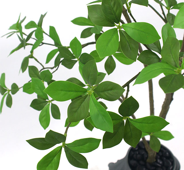 本物のような瑞々しい質感