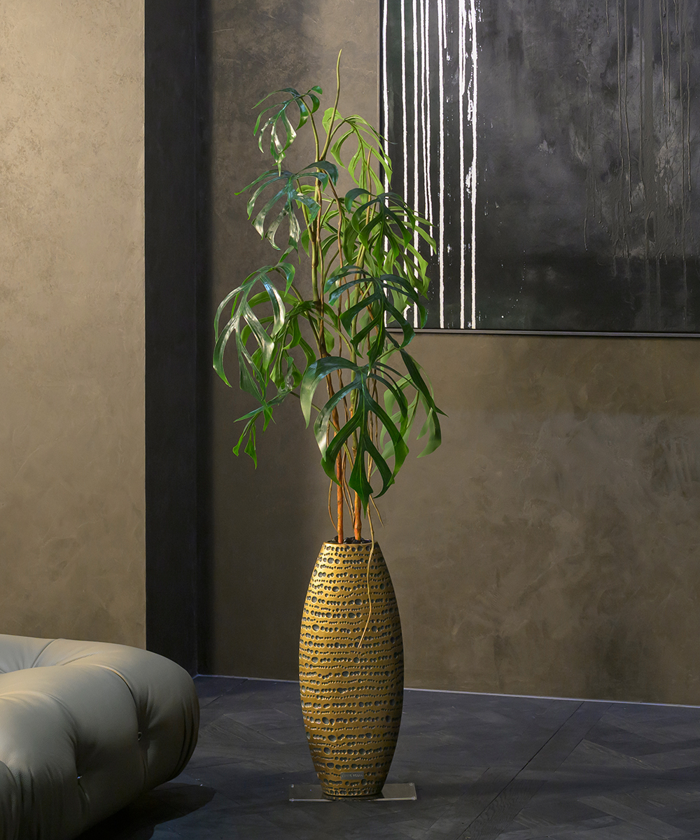 こちらもオススメ　モンステラ4L26